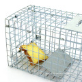 Collapsible Squirrel Trap Cage Animal Large Cage Catcher Cold galvanized Catch Factory